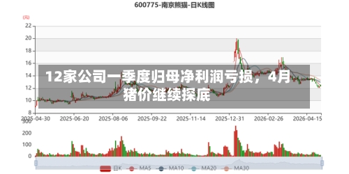 12家公司一季度归母净利润亏损，4月猪价继续探底-第1张图片