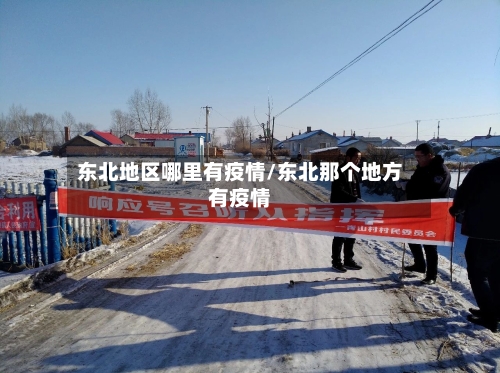 东北地区哪里有疫情/东北那个地方有疫情-第2张图片