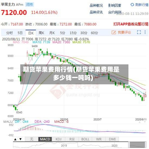 期货苹果费用行情(期货苹果费用是多少钱一吨吗)-第1张图片