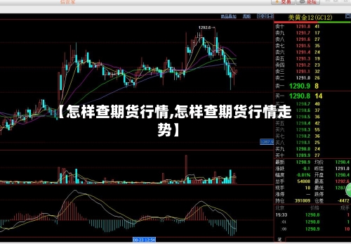 【怎样查期货行情,怎样查期货行情走势】-第1张图片