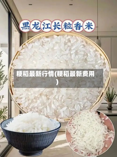 粳稻最新行情(粳稻最新费用)-第3张图片