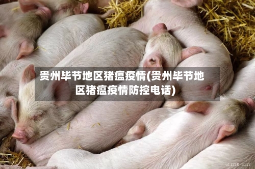 贵州毕节地区猪瘟疫情(贵州毕节地区猪瘟疫情防控电话)-第2张图片