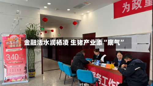 金融活水润杨凌 生猪产业添“底气”-第1张图片