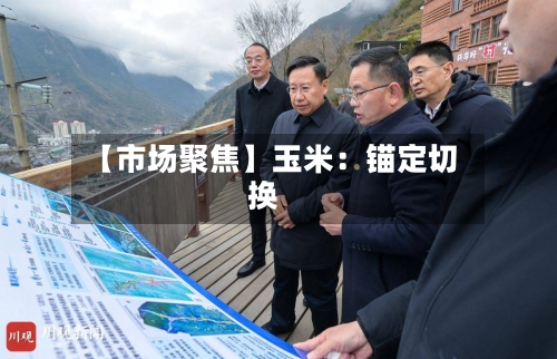 【市场聚焦】玉米：锚定切换-第1张图片
