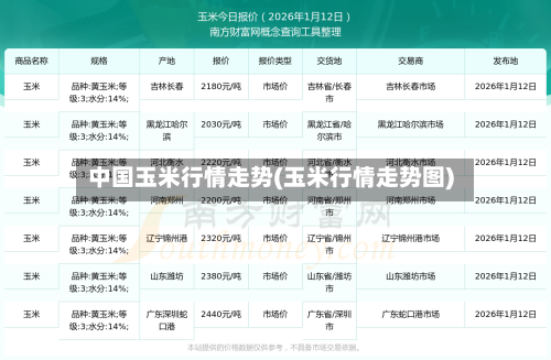 中国玉米行情走势(玉米行情走势图)-第1张图片
