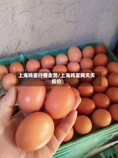 上海鸡蛋行情走势/上海鸡蛋网天天报价-第2张图片