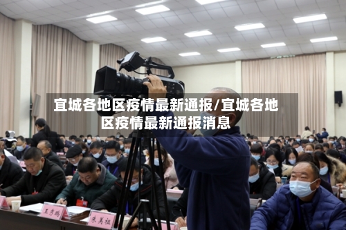 宜城各地区疫情最新通报/宜城各地区疫情最新通报消息-第2张图片