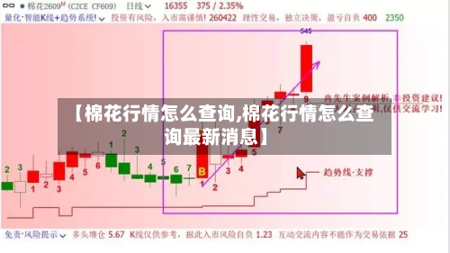 【棉花行情怎么查询,棉花行情怎么查询最新消息】-第1张图片