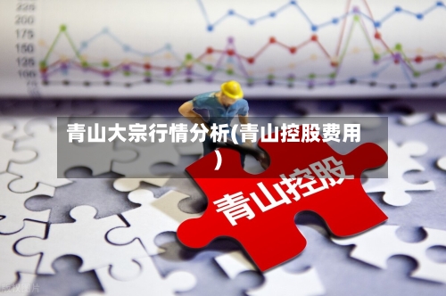 青山大宗行情分析(青山控股费用)-第1张图片