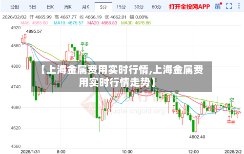 【上海金属费用实时行情,上海金属费用实时行情走势】-第1张图片