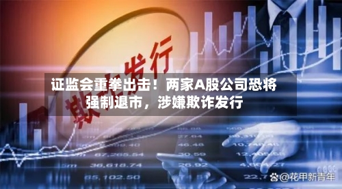 证监会重拳出击！两家A股公司恐将强制退市，涉嫌欺诈发行-第3张图片