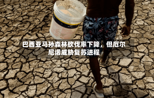 巴西亚马孙森林砍伐率下降	，但厄尔尼诺威胁复苏进程-第2张图片