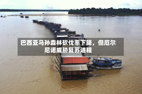 巴西亚马孙森林砍伐率下降，但厄尔尼诺威胁复苏进程-第1张图片