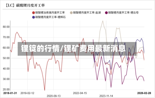锂锭的行情/锂矿费用最新消息-第1张图片