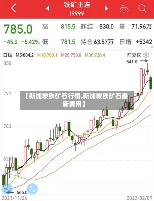 【新加坡铁矿石行情,新加坡铁矿石最新费用】-第1张图片