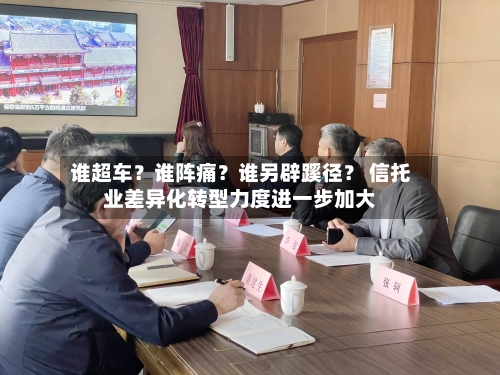 谁超车？谁阵痛？谁另辟蹊径？ 信托业差异化转型力度进一步加大-第2张图片