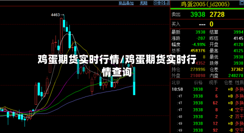 鸡蛋期货实时行情/鸡蛋期货实时行情查询-第2张图片