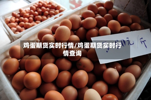 鸡蛋期货实时行情/鸡蛋期货实时行情查询-第1张图片