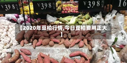 【2020年豆柏行情,今日豆柏费用正大】-第2张图片