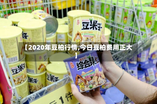 【2020年豆柏行情,今日豆柏费用正大】-第1张图片