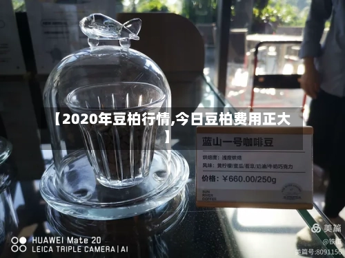 【2020年豆柏行情,今日豆柏费用正大】-第3张图片