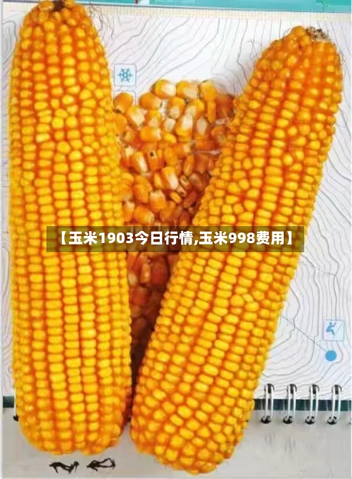 【玉米1903今日行情,玉米998费用】-第3张图片