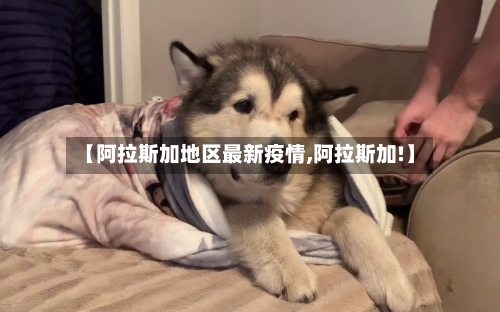 【阿拉斯加地区最新疫情,阿拉斯加!】-第3张图片