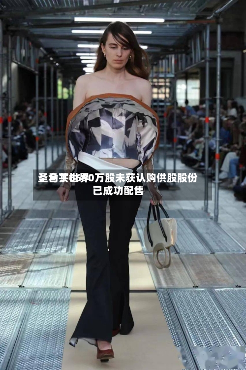圣马丁世界：合共6690万股未获认购供股股份已成功配售-第1张图片