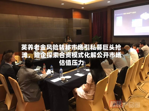 英养老金风险转移市场引私募巨头抢滩	，险企探索合资模式化解公开市场估值压力-第1张图片