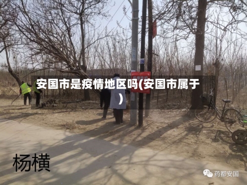 安国市是疫情地区吗(安国市属于)-第1张图片