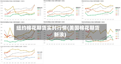 纽约棉花期货实时行情(美国棉花期货 新浪)-第3张图片