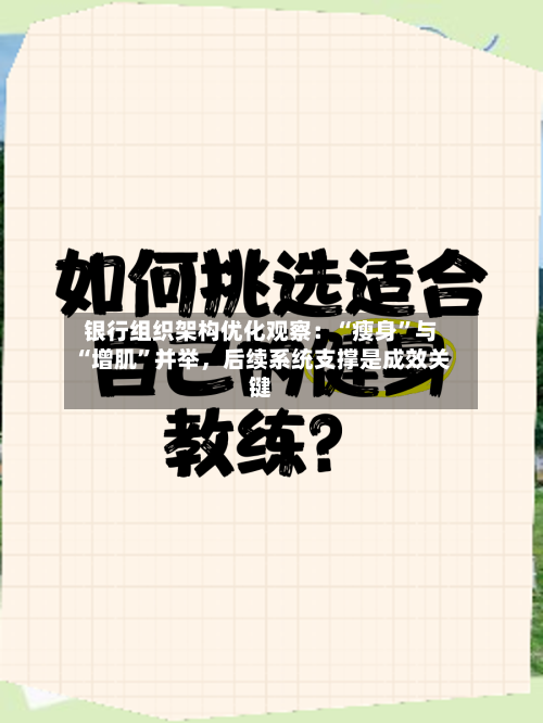 银行组织架构优化观察：“瘦身	”与“增肌”并举，后续系统支撑是成效关键-第3张图片