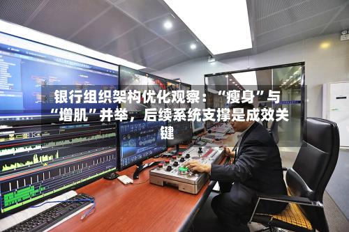 银行组织架构优化观察：“瘦身”与“增肌”并举，后续系统支撑是成效关键-第2张图片