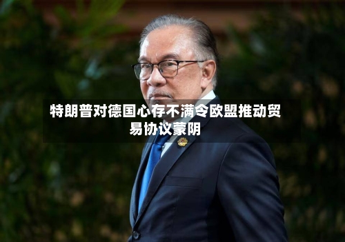 特朗普对德国心存不满令欧盟推动贸易协议蒙阴-第2张图片