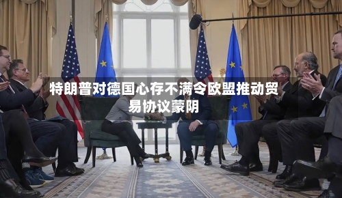 特朗普对德国心存不满令欧盟推动贸易协议蒙阴-第3张图片