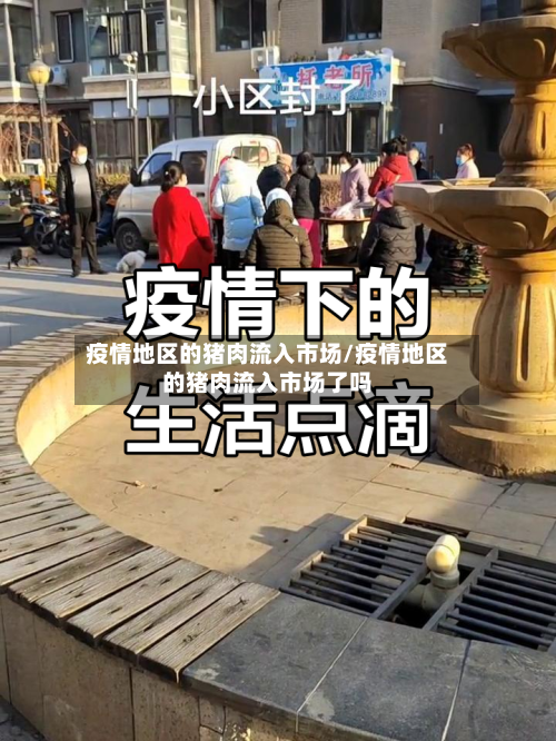 疫情地区的猪肉流入市场/疫情地区的猪肉流入市场了吗-第2张图片