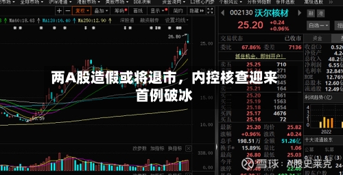 两A股造假或将退市，内控核查迎来首例破冰-第3张图片