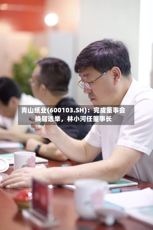 青山纸业(600103.SH)：完成董事会换届选举，林小河任董事长-第1张图片