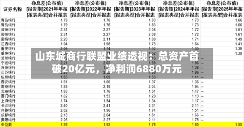 山东城商行联盟业绩透视：总资产首破20亿元，净利润6880万元-第1张图片