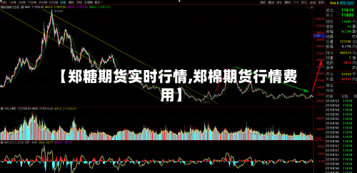 【郑糖期货实时行情,郑棉期货行情费用】-第1张图片
