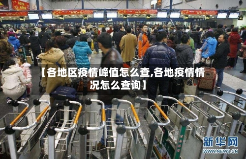 【各地区疫情峰值怎么查,各地疫情情况怎么查询】-第1张图片