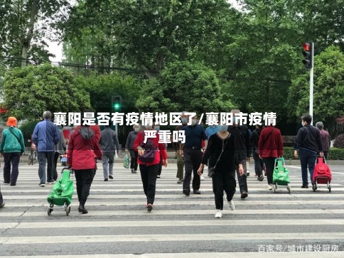 襄阳是否有疫情地区了/襄阳市疫情严重吗-第1张图片