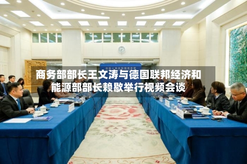 商务部部长王文涛与德国联邦经济和能源部部长赖歇举行视频会谈-第3张图片