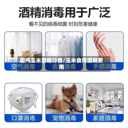国内玉米酒精行情/玉米食用酒精费用-第1张图片