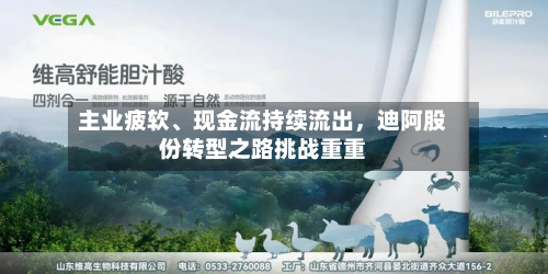主业疲软	、现金流持续流出，迪阿股份转型之路挑战重重-第1张图片
