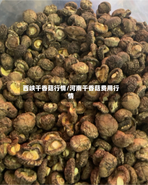 西峡干香菇行情/河南干香菇费用行情-第3张图片