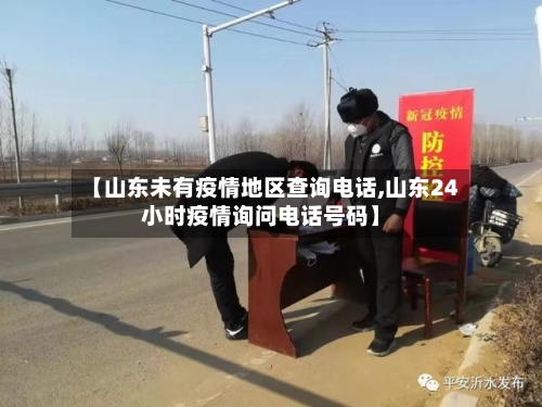 【山东未有疫情地区查询电话,山东24小时疫情询问电话号码】-第3张图片