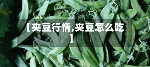 【夹豆行情,夹豆怎么吃】-第3张图片