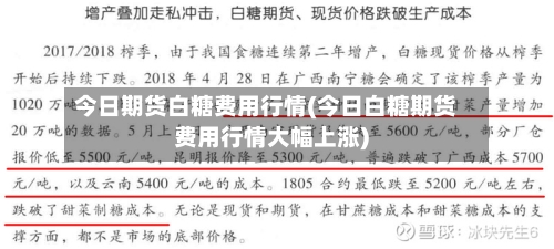 今日期货白糖费用行情(今日白糖期货费用行情大幅上涨)-第1张图片