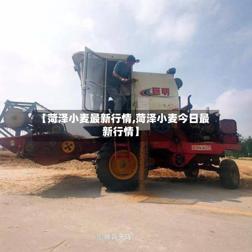 【菏泽小麦最新行情,菏泽小麦今日最新行情】-第2张图片